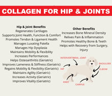 INCREASE THE COLLAGEN YTPE I, II, III FOR DOGS & CATS - Limping, arthritis, muscular pain, fibromyalgia MADE IN USA