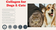 INCREASE THE COLLAGEN YTPE I, II, III FOR DOGS & CATS - Limping, arthritis, muscular pain, fibromyalgia MADE IN USA