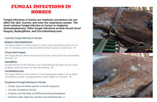 ELIMINA LOS HONGOS EN CABALLOS - MATA LA CANDIDIASIS EN CABALLOS - MADE IN USA