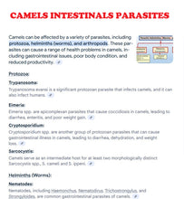 ELIMINA LOS PARASITOS INTESTINALES DE Alpaca Llama camellos - Anti-parasitos Anti-gusanos estomacales - Made in USA