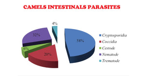 ELIMINA LOS PARASITOS INTESTINALES DE Alpaca Llama camellos - Anti-parasitos Anti-gusanos estomacales - Made in USA