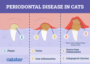 ELIMINA LA GINGIVITIS, CARIES, PLACAS, CALCULOS DENTAL EN PERROS Y GATOS - MADE IN USA