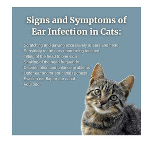 ELIMINA LA INFECTION DEL OIDO EN PERROS Y GATOS - ANTIBIOTICO NATURAL PARA LA OTITIS EN MASCOTAS - MADE IN USA