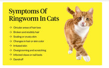 GET RID OF FUNGAL INFECTION IN Dogs and Cats  - ELIMINATE FUNGAL DERMATITIS - Made in USA)