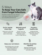 GET RID OF FUNGAL INFECTION IN Dogs and Cats  - ELIMINATE FUNGAL DERMATITIS - Made in USA)
