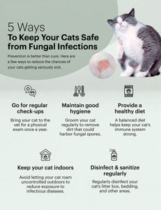 GET RID OF FUNGAL INFECTION IN Dogs and Cats  - ELIMINATE FUNGAL DERMATITIS - Made in USA)