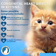 CONGESTIVE DISEASE HEART PROBLEMS FOR CATS & DOGS - Congestive Heart Failure in  BLOOD CIRCULATION MADE IN USA