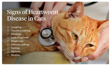 ELIMINA LOS GUSANOS DEL CORAZON EN PERROS Y GATOS - MATAR LOS PARASITOS Y GUSANOS DEL CORAZON PEROS Y GATOS - MADE IN USA