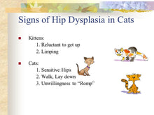 HIP JOINT STOP PAIN FOR DOGS & CATS - hip dysplasia , arthritis or other osteoarthritis - MADE IN USA