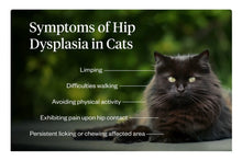 HIP JOINT STOP PAIN FOR DOGS & CATS - hip dysplasia , arthritis or other osteoarthritis - MADE IN USA