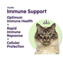 IMMUNE SYSTEM CARE FOR DOGS & CATS 120 Capsules - Made in USA