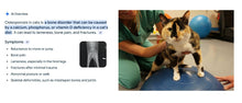 CONTROLAR LA OSTEOPOROSIS DOLOR EN PERROS Y GATOS - PARA EL DOLOR DE OSTEOPOROSIS EN MASCOTAS - MADE IN USA