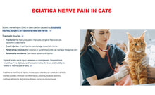 SCIATICA PAIN RELIEF CREAM FOR DOGS AND CATS - MADE IN USA