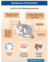 GET RID OF SKIN ALLERGY CREAM FOR DOGA & CATS - REDUCE SKIN ALLERGIES ON PETS - MADE IN USA