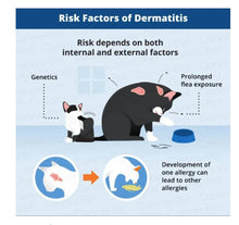 GET RID OF SKIN ALLERGY CREAM FOR DOGA & CATS - REDUCE SKIN ALLERGIES ON PETS - MADE IN USA