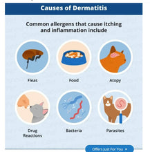 GET RID OF SKIN ALLERGY CREAM FOR DOGA & CATS - REDUCE SKIN ALLERGIES ON PETS - MADE IN USA