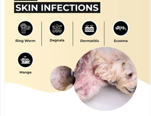 ELIMINA LA INFECCION DE LA PIEL EN PERROS Y GATOS - Antimicrobial, Bacterias, Heridas - MADE IN USA