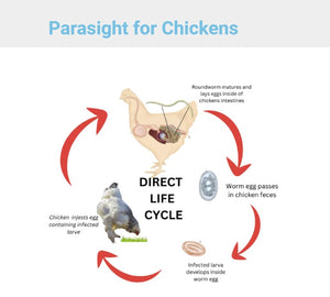 Desparasitante matador de gusanos y sus huevos de gallos y pollos MADE IN USA