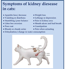 GET RID OF ANY BLADDER & KIDNEY DISEASE IN DOGS & CATS - Made in USA