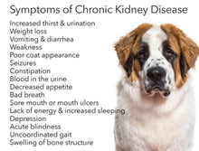 GET RID OF ANY BLADDER & KIDNEY DISEASE IN DOGS & CATS - Made in USA