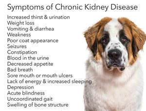 GET RID OF ANY BLADDER & KIDNEY DISEASE IN DOGS & CATS - Made in USA