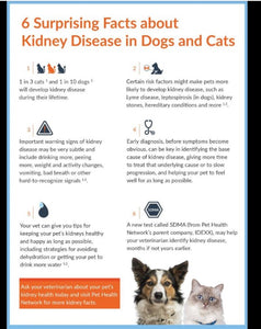 GET RID OF ANY BLADDER & KIDNEY DISEASE IN DOGS & CATS - Made in USA
