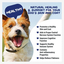 NATURAL SKIN CARE FOR DOGS & CATS - Restores, rejuvenates, smoothness of the skin - MADE IN USA