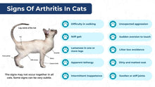 ARTRITIS PARA EL DOLOR EN PERROS Y GATOS- MADE IN USA 120 CAPS