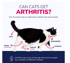 ARTRITIS PARA EL DOLOR EN PERROS Y GATOS- MADE IN USA 120 CAPS