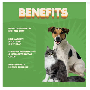 CURAR LAS ENFERMEDADES DE LA PIEL Y DEL PELO EN PERROS  - MADE IN USA
