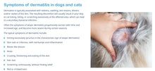 ELIMINA LA IRRITACION EN LA PIEL DE PERRO Y GATO - REPARA LA PIEL EN FORMA NATURAL EN PERROS Y GATOS - MADE IN USA