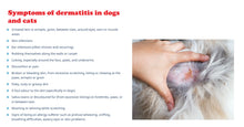 ELIMINA LA IRRITACION EN LA PIEL DE PERRO Y GATO - REPARA LA PIEL EN FORMA NATURAL EN PERROS Y GATOS - MADE IN USA