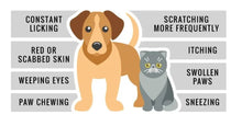 ELIMINA LA IRRITACION EN LA PIEL DE PERRO Y GATO - REPARA LA PIEL EN FORMA NATURAL EN PERROS Y GATOS - MADE IN USA