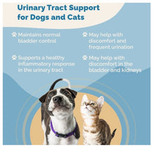 URINARY INFECTION CARE FOR PETS (100 Capsules - Made in USA) Dogs and cats