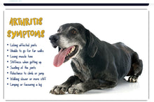 PARAR EL DOLOR DE ARTRITIS EN PERROS Y GATOS- ELIMINAR EL DOLOR PERROS Y GATOS - MADE IN USA