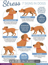 GET RID OF STRESS FOR DOGS & CATS - ELIMINATE Anxiety Supplement for Pets - Made in USA