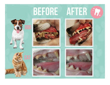 ELIMINA LA GINGIVITIS, CARIES, PLACAS, CALCULOS DENTAL EN PERROS Y GATOS - MADE IN USA