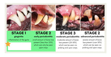 ELIMINA LA GINGIVITIS, CARIES, PLACAS, CALCULOS DENTAL EN PERROS Y GATOS - MADE IN USA