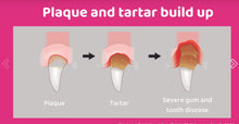 ELIMINA LA GINGIVITIS, CARIES, PLACAS, CALCULOS DENTAL EN PERROS Y GATOS - MADE IN USA