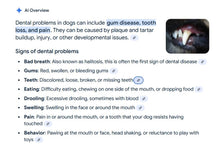 DENTAL CARE FOR DOGS - Gingivitis (gums), Periodontitis, piorrea, caries, plaques - MADE IN USA