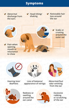 ELIMINA LA INFECTION DEL OIDO EN PERROS Y GATOS - ANTIBIOTICO NATURAL PARA LA OTITIS EN MASCOTAS - MADE IN USA