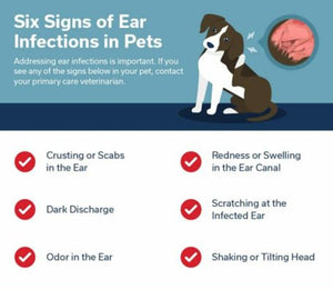 ELIMINA LA INFECTION DEL OIDO EN PERROS Y GATOS - ANTIBIOTICO NATURAL PARA LA OTITIS EN MASCOTAS - MADE IN USA