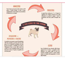 INDUCE HEAT IN DOGS RIGHT AWAY - FEMALE DOG HEAT CYCLES SUPPORT - MADE IN USA