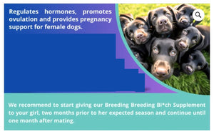 DOG BREEDING - FERTILITY DOG FEMALE -  BITCH DOG FERTILITY (120 Capsules - Made in USA)