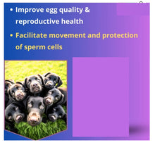 INCREMENTA LA FERTILIDAD PARA UNA PERRA - ELIMINAR LA  INFERTILIDADA DE UNA PERRA- MADE IN USA