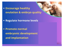 INCREMENTA LA FERTILIDAD PARA UNA PERRA - ELIMINAR LA  INFERTILIDADA DE UNA PERRA- MADE IN USA
