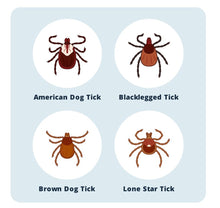 ELIMINA LAS PULGAS Y GARRAPATAS EN PERROS Y GATOS - MATA LAS PULGAS Y GARRAPATAS EN MASCOTAS- MADE IN USA