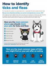 ELIMINA LAS PULGAS Y GARRAPATAS EN PERROS Y GATOS - MATA LAS PULGAS Y GARRAPATAS EN MASCOTAS- MADE IN USA