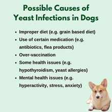 GET RID OF FUNGAL INFECTION IN Dogs and Cats  - ELIMINATE FUNGAL DERMATITIS - Made in USA)