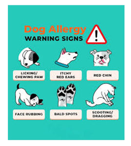GET RID OF FUNGAL INFECTION IN Dogs and Cats  - ELIMINATE FUNGAL DERMATITIS - Made in USA)
